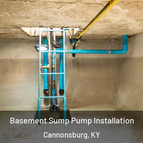  Basement Sump Pump Installation Cannonsburg, KY