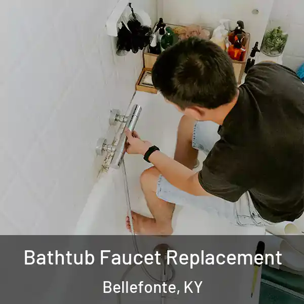  Bathtub Faucet Replacement Bellefonte, KY