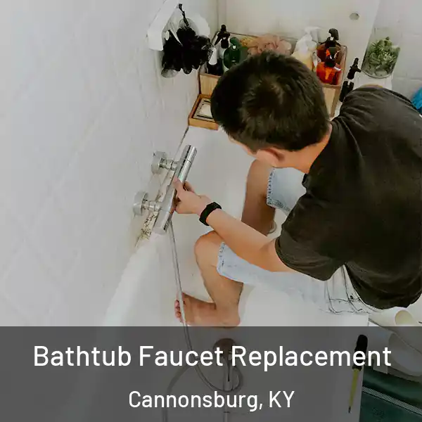 Bathtub Faucet Replacement Cannonsburg, KY