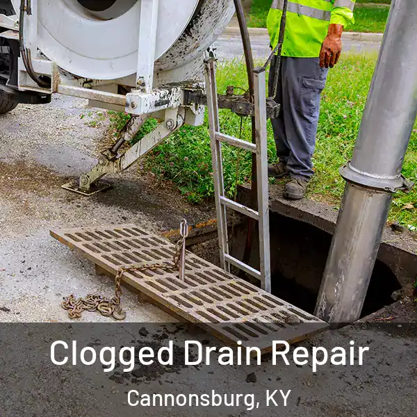  Clogged Drain Repair Cannonsburg, KY