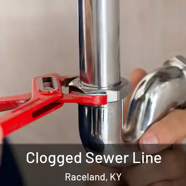  Clogged Sewer Line Raceland, KY