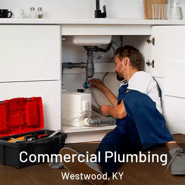 Commercial Plumbing Westwood, KY