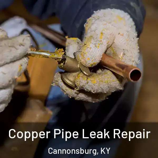  Copper Pipe Leak Repair Cannonsburg, KY