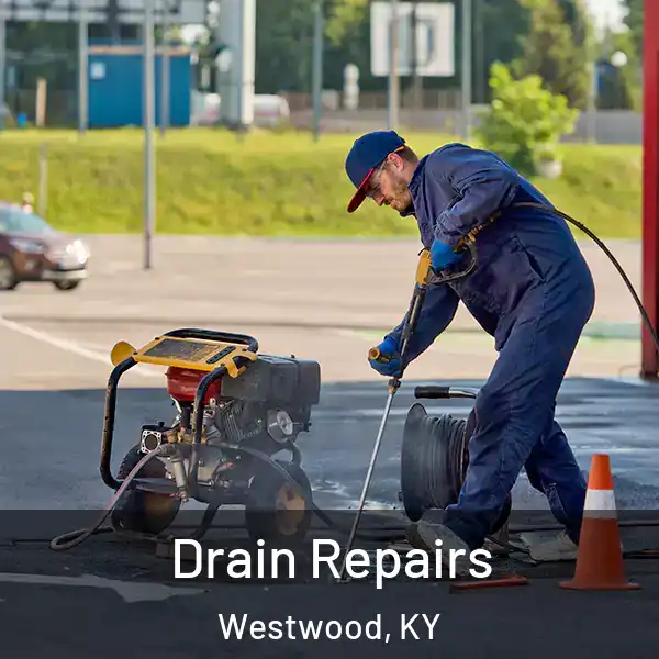  Drain Repairs Westwood, KY