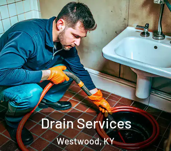  Drain Services Westwood, KY