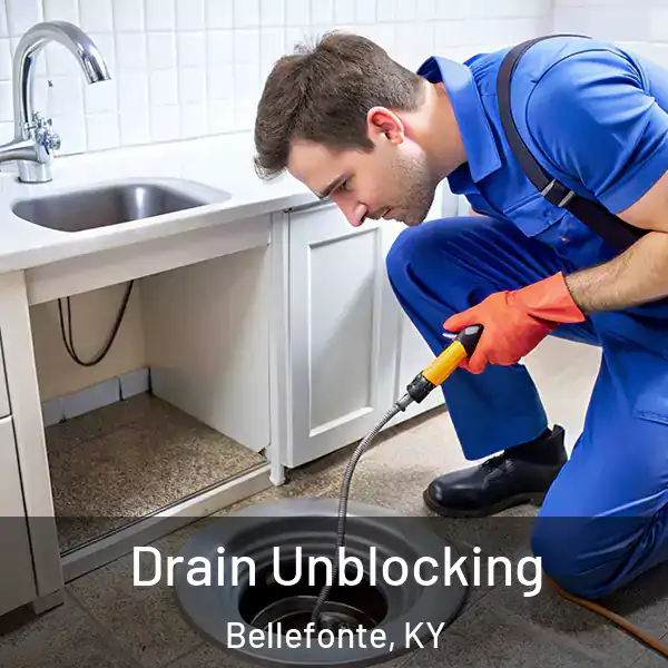  Drain Unblocking Bellefonte, KY