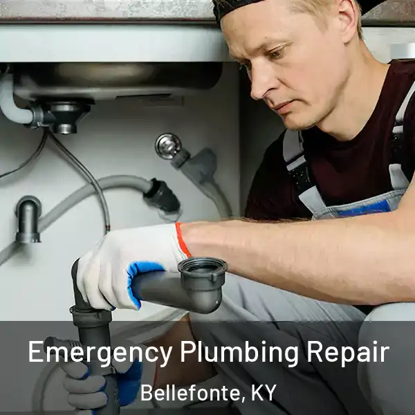  Emergency Plumbing Repair Bellefonte, KY