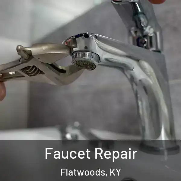  Faucet Repair Flatwoods, KY