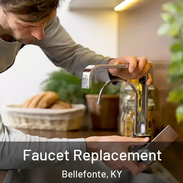  Faucet Replacement Bellefonte, KY