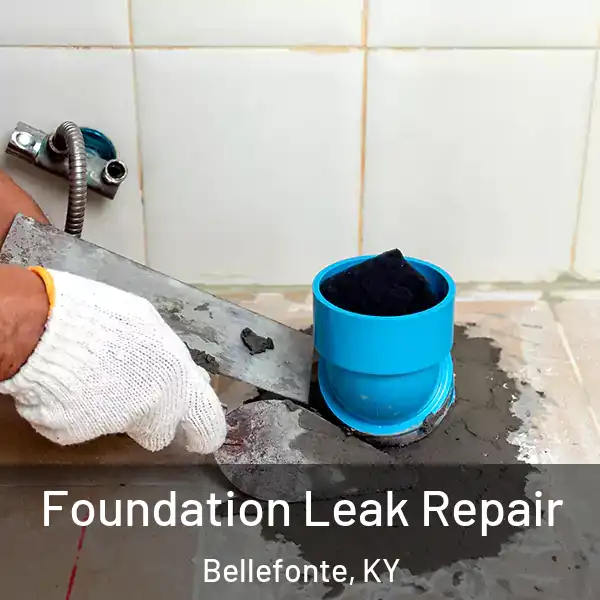  Foundation Leak Repair Bellefonte, KY