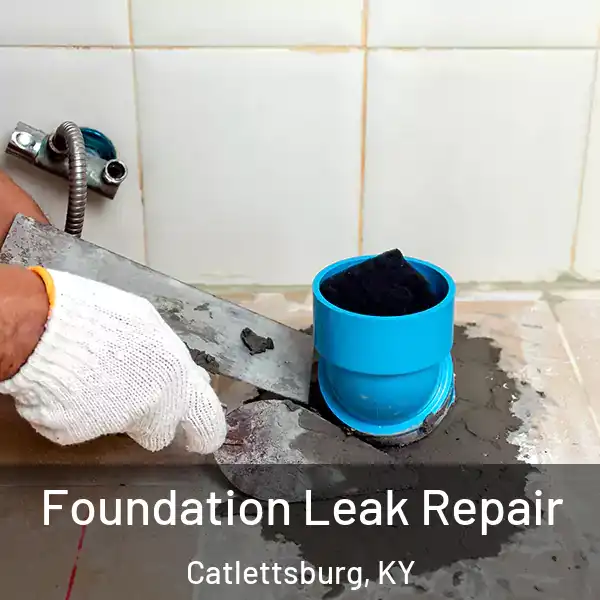  Foundation Leak Repair Catlettsburg, KY