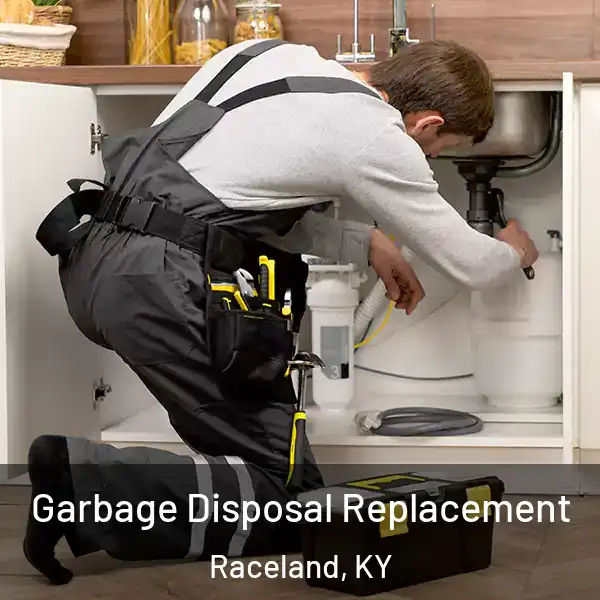  Garbage Disposal Replacement Raceland, KY