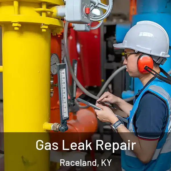  Gas Leak Repair Raceland, KY