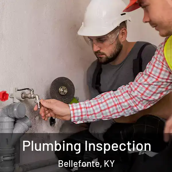  Plumbing Inspection Bellefonte, KY
