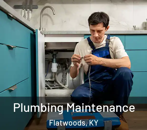  Plumbing Maintenance Flatwoods, KY