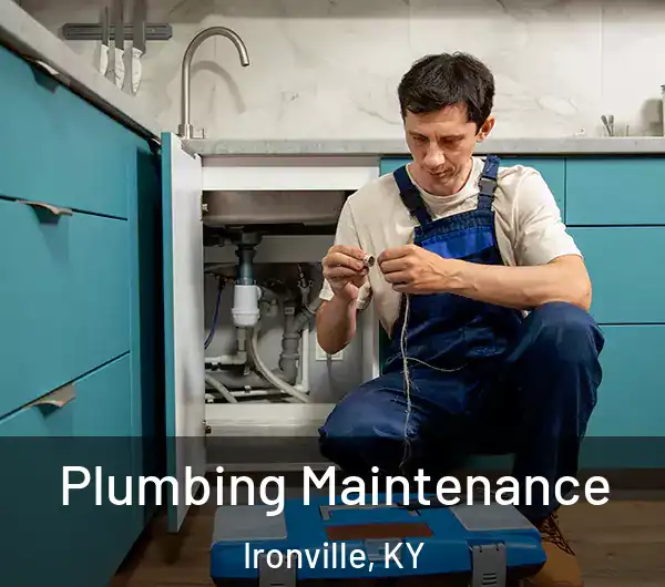  Plumbing Maintenance Ironville, KY