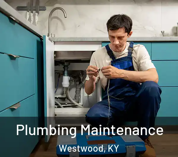  Plumbing Maintenance Westwood, KY