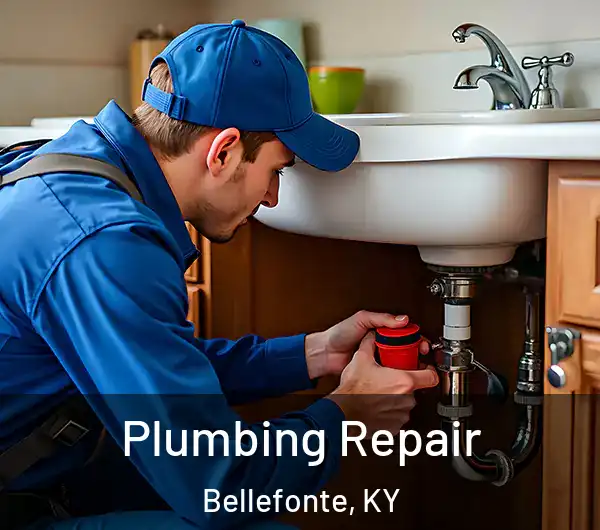  Plumbing Repair Bellefonte, KY