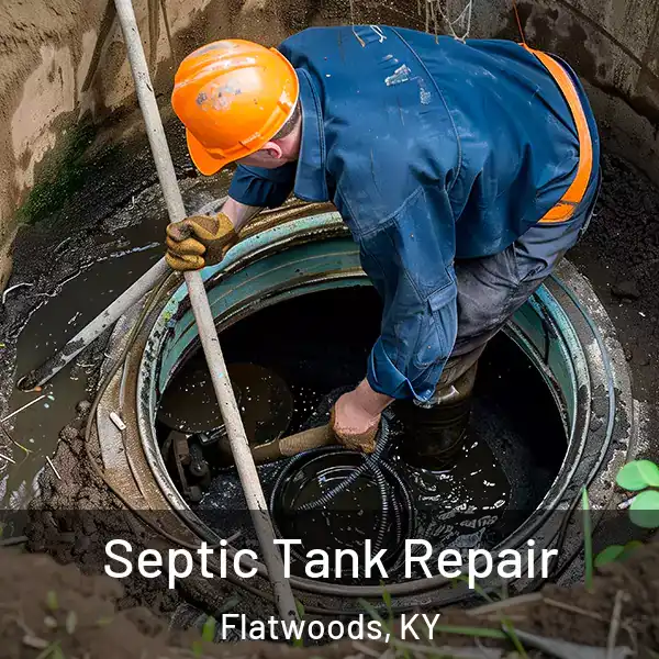  Septic Tank Repair Flatwoods, KY