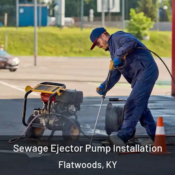  Sewage Ejector Pump Installation Flatwoods, KY