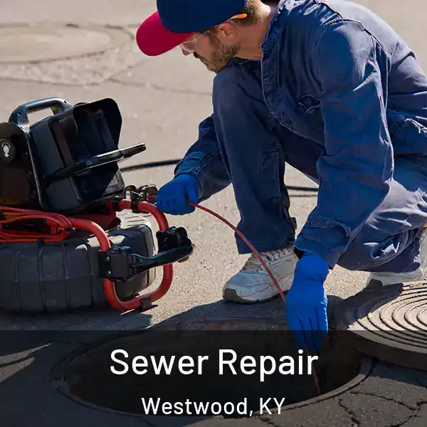  Sewer Repair Westwood, KY