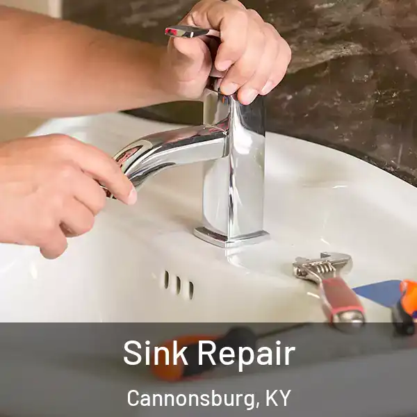  Sink Repair Cannonsburg, KY