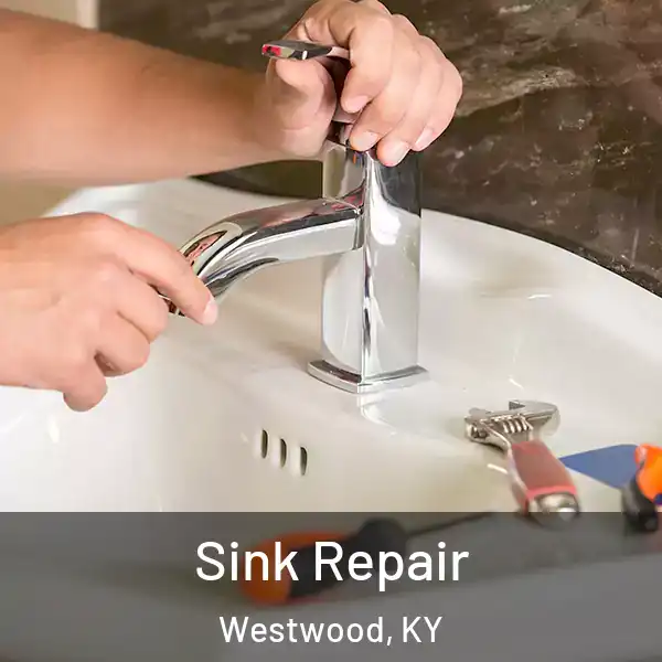  Sink Repair Westwood, KY