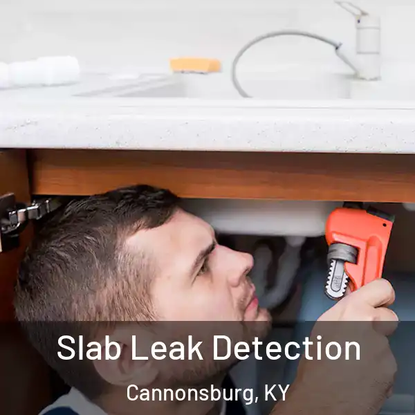  Slab Leak Detection Cannonsburg, KY