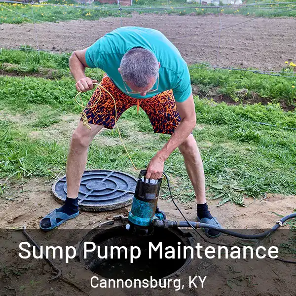  Sump Pump Maintenance Cannonsburg, KY