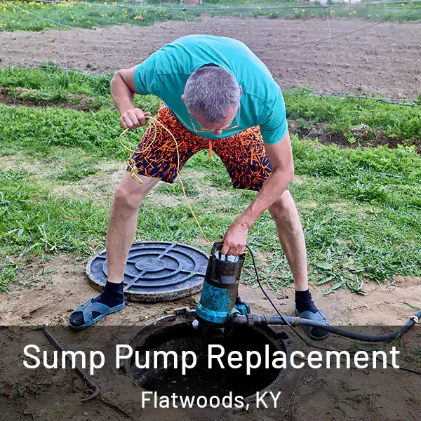  Sump Pump Replacement Flatwoods, KY