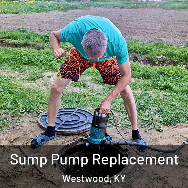  Sump Pump Replacement Westwood, KY