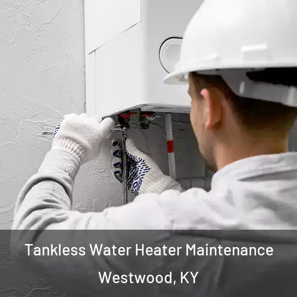  Tankless Water Heater Maintenance Westwood, KY