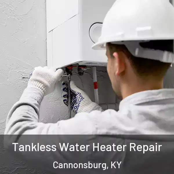  Tankless Water Heater Repair Cannonsburg, KY