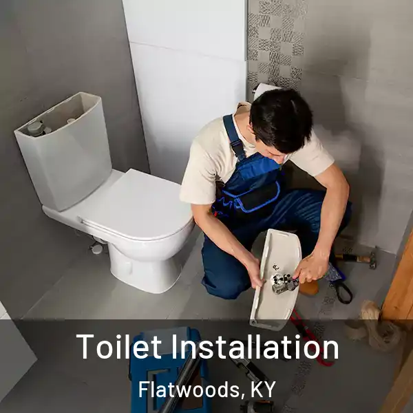  Toilet Installation Flatwoods, KY