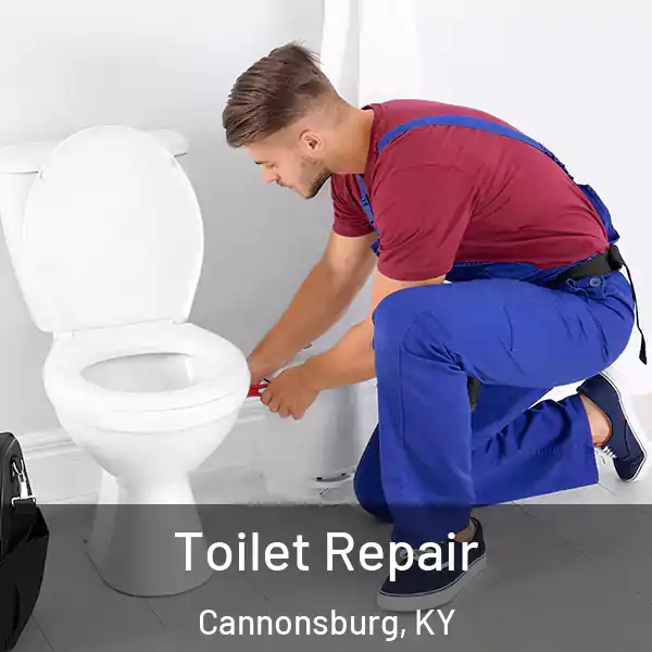  Toilet Repair Cannonsburg, KY