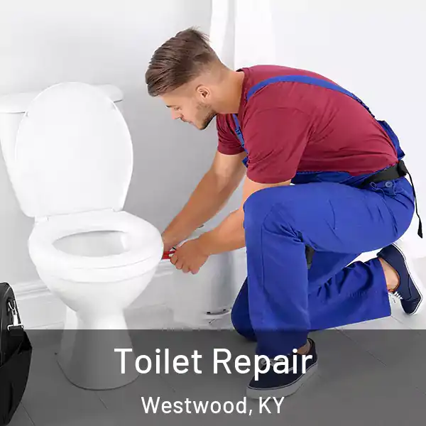  Toilet Repair Westwood, KY