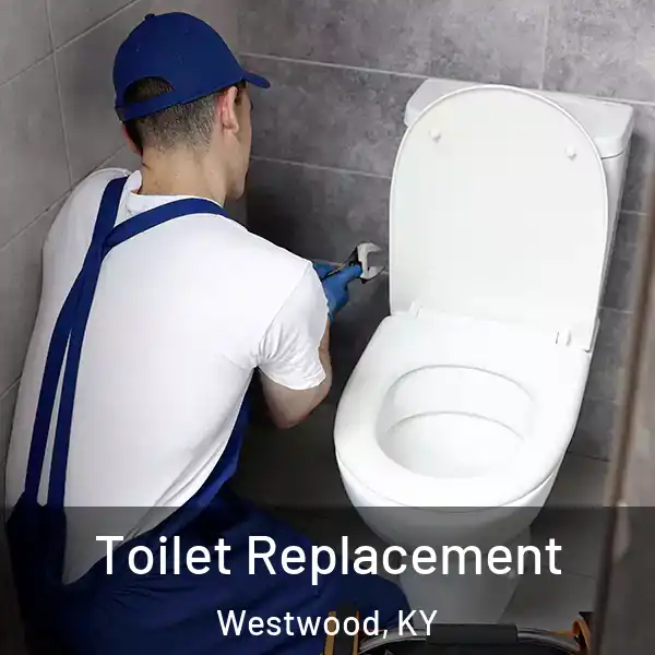 Toilet Replacement Westwood, KY