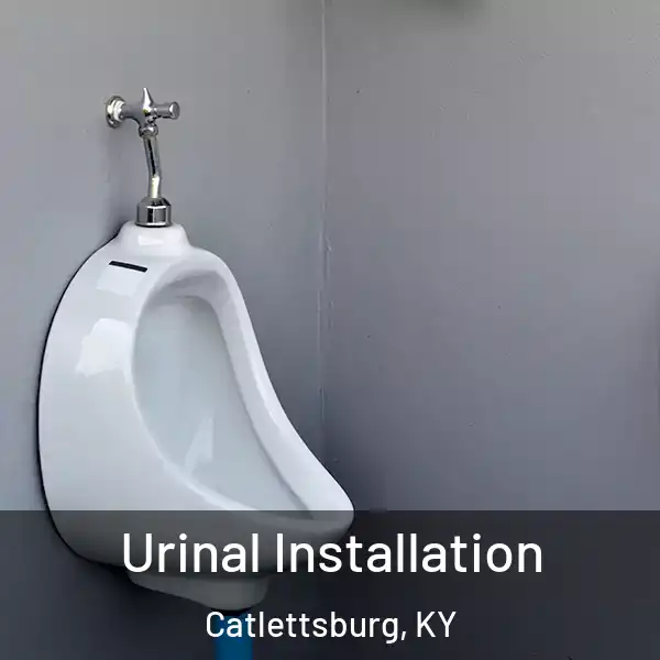  Urinal Installation Catlettsburg, KY