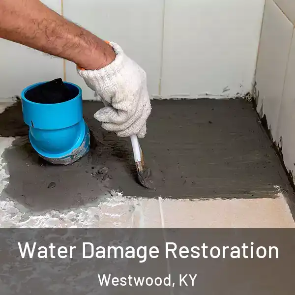  Water Damage Restoration Westwood, KY
