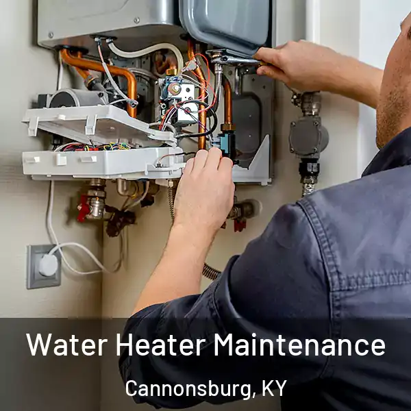  Water Heater Maintenance Cannonsburg, KY