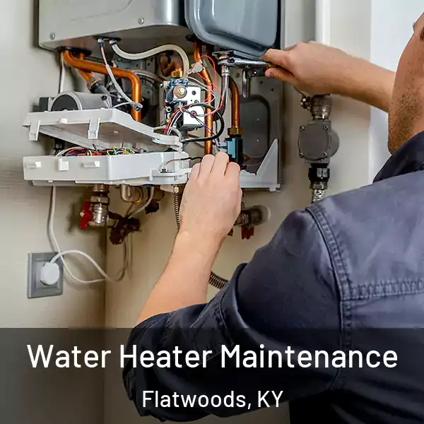  Water Heater Maintenance Flatwoods, KY