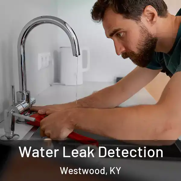  Water Leak Detection Westwood, KY