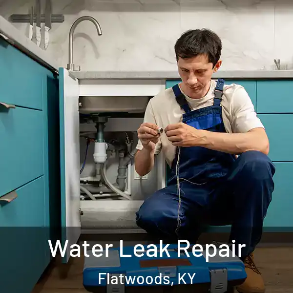  Water Leak Repair Flatwoods, KY
