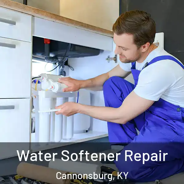  Water Softener Repair Cannonsburg, KY