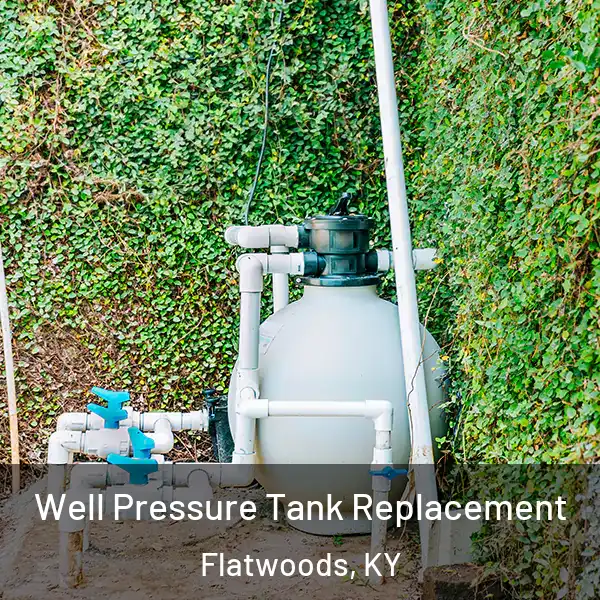  Well Pressure Tank Replacement Flatwoods, KY